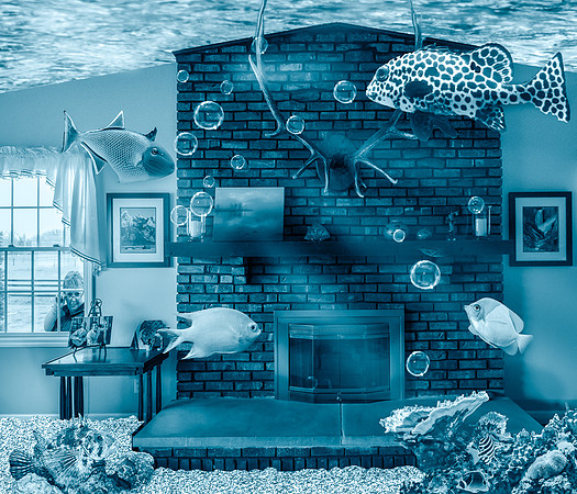 Home Aquarium