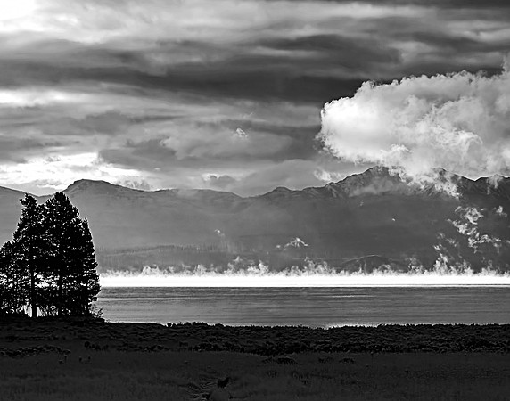 Yellowstone River at Dawn