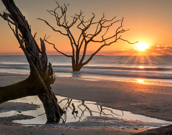 Sunrise at Boneyard Beach 2