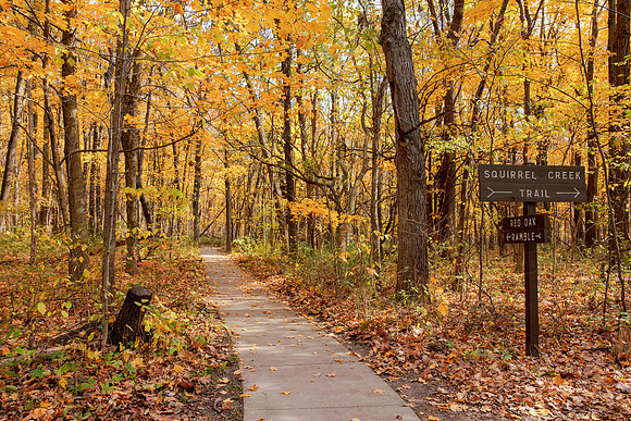 Spitler Woods - Mt Zion, IL